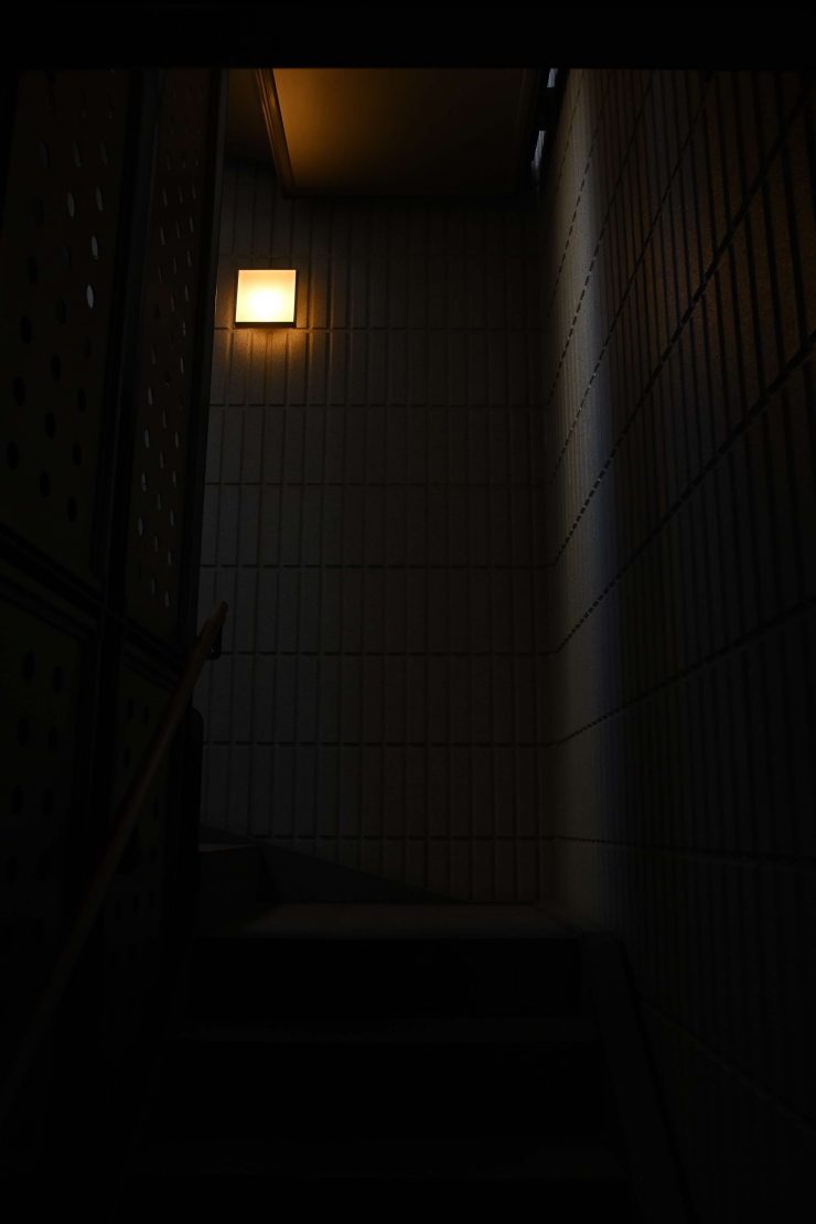 Godox KNOWLED P1200R Hard PRO 18840