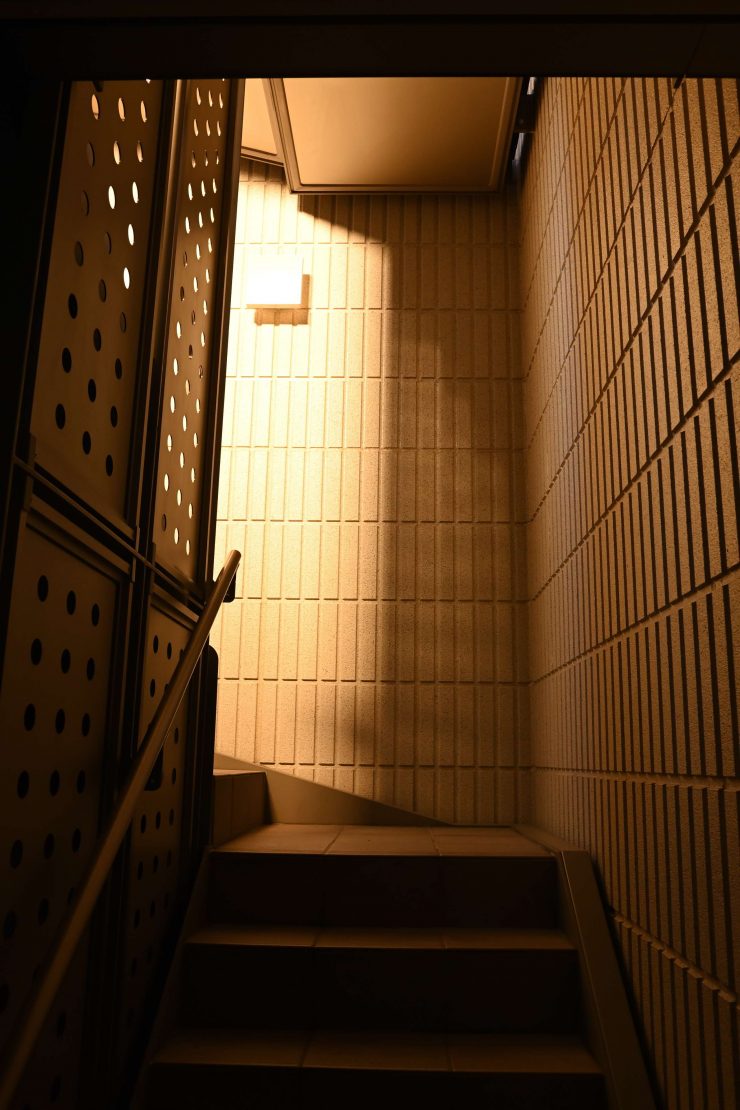 Godox KNOWLED P1200R Hard PRO 18842