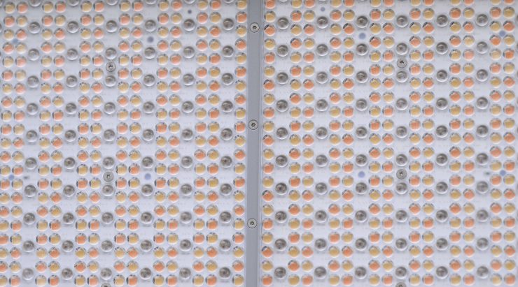 Screenshot 2025 03 15 at 9 45 38