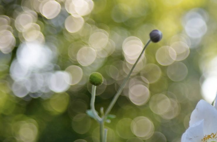 Screenshot 2025 05 03 at 11 13 36